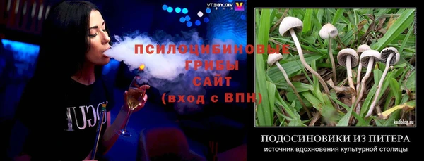 хмурый Покачи
