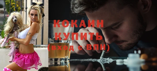 хмурый Покачи