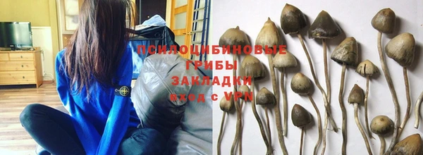 спиды Абинск